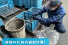 増渕商店で資源物の選別作業を行うスタッフ(募集元掲載写真)