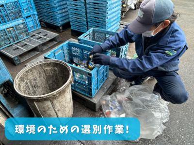 増渕商店で資源物の選別作業を行うスタッフ(募集元掲載写真)